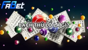 bạch thủ lô là gì
